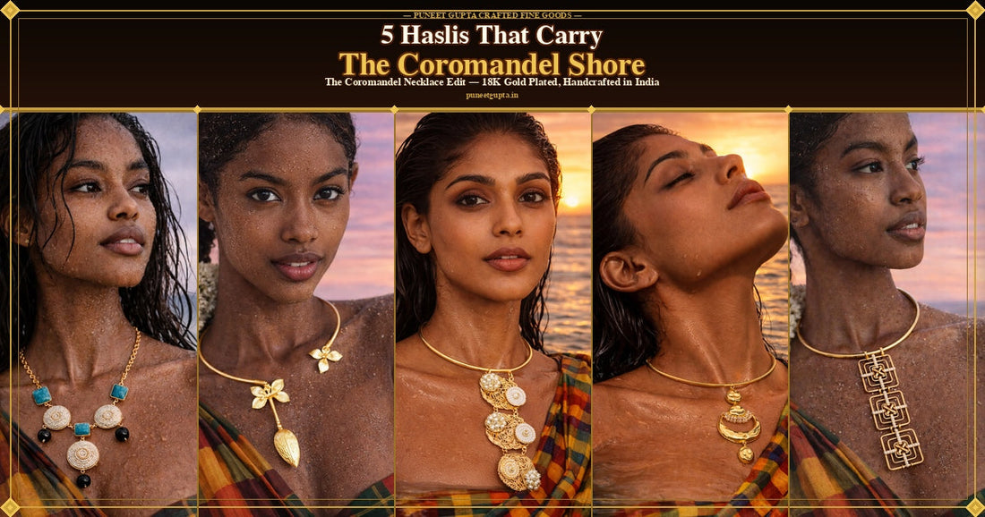5 Haslis That Carry The Coromandel Shore