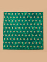 Panna Noor Embroidered Scarf